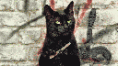/album/imagens-gifs/gato-vaidoso-gif/